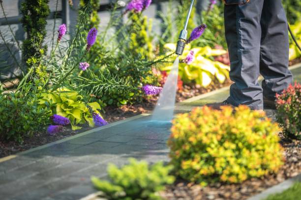 Professional Pressure Washing Services in Buchanan, MI